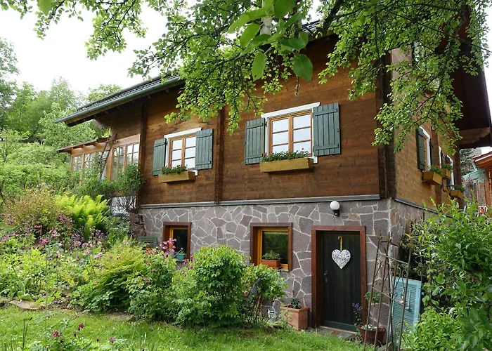Blick In Den Garten