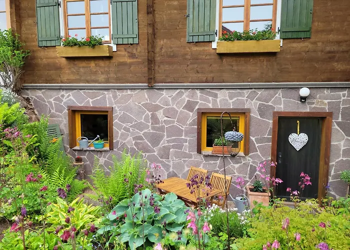 Blick In Den Garten