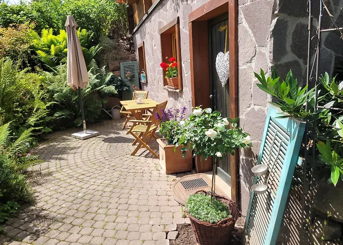 Blick In Den Garten