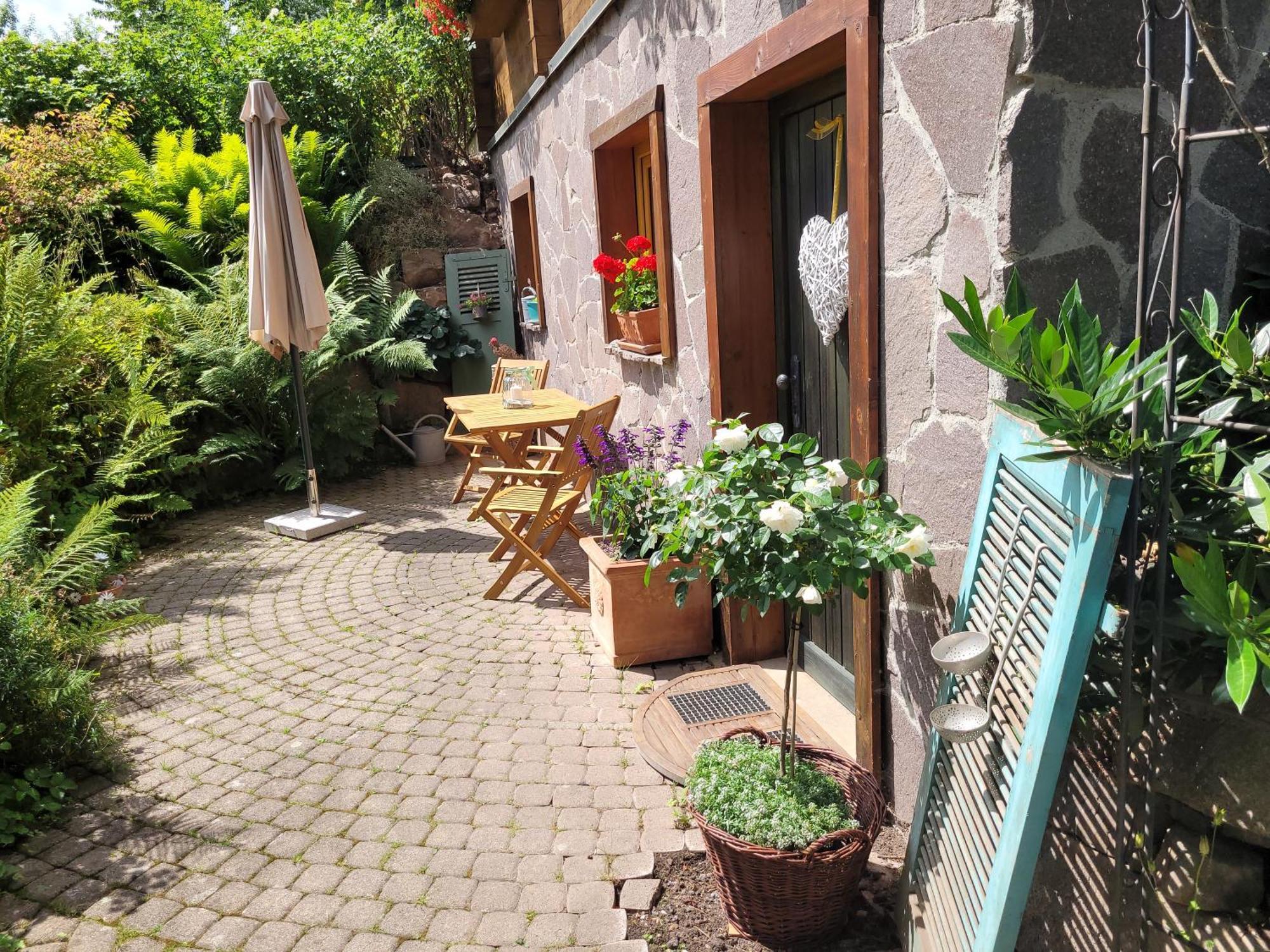 Apartment Blick In Den Garten