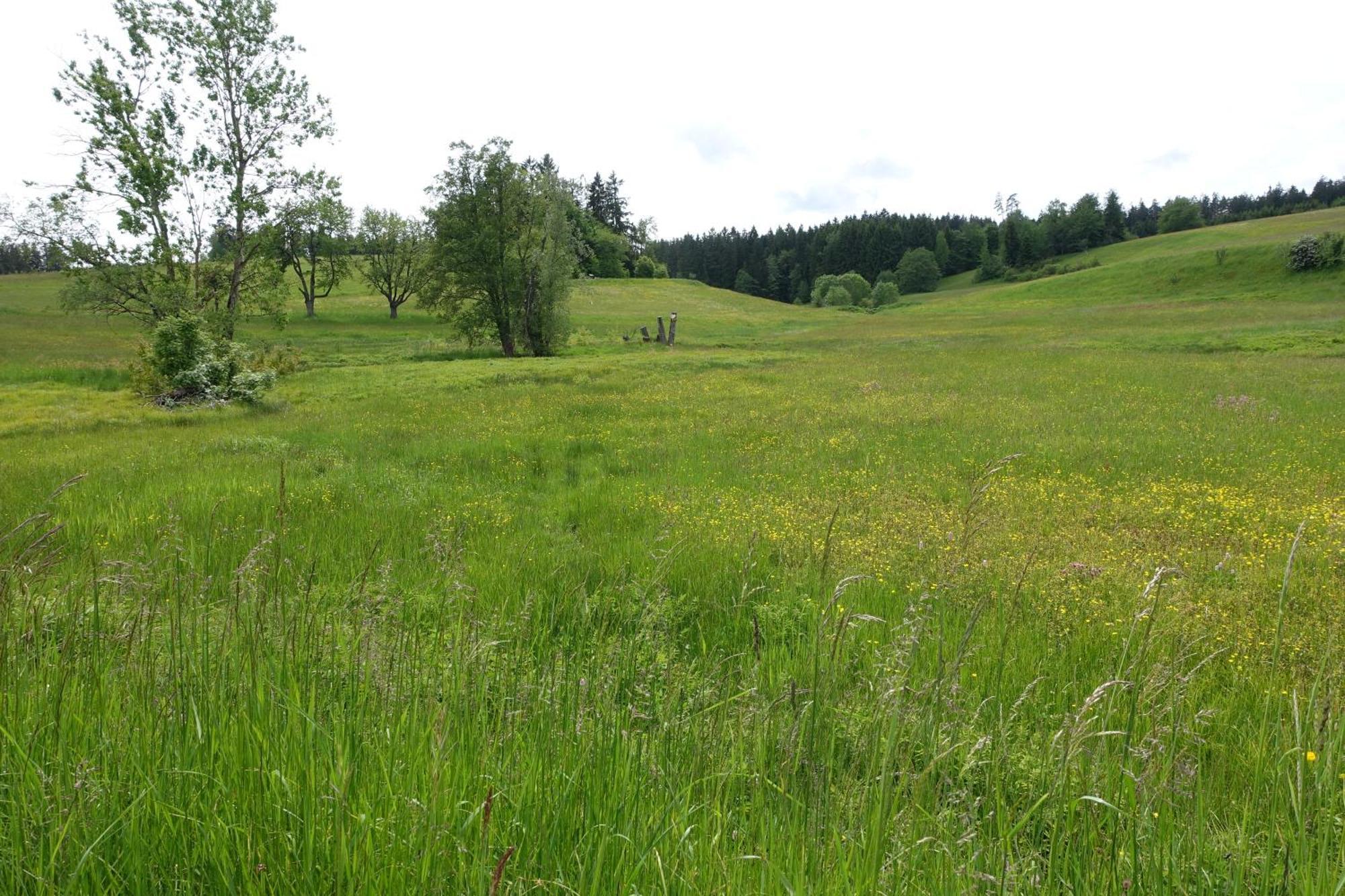 Apartment Blick In Den Garten *