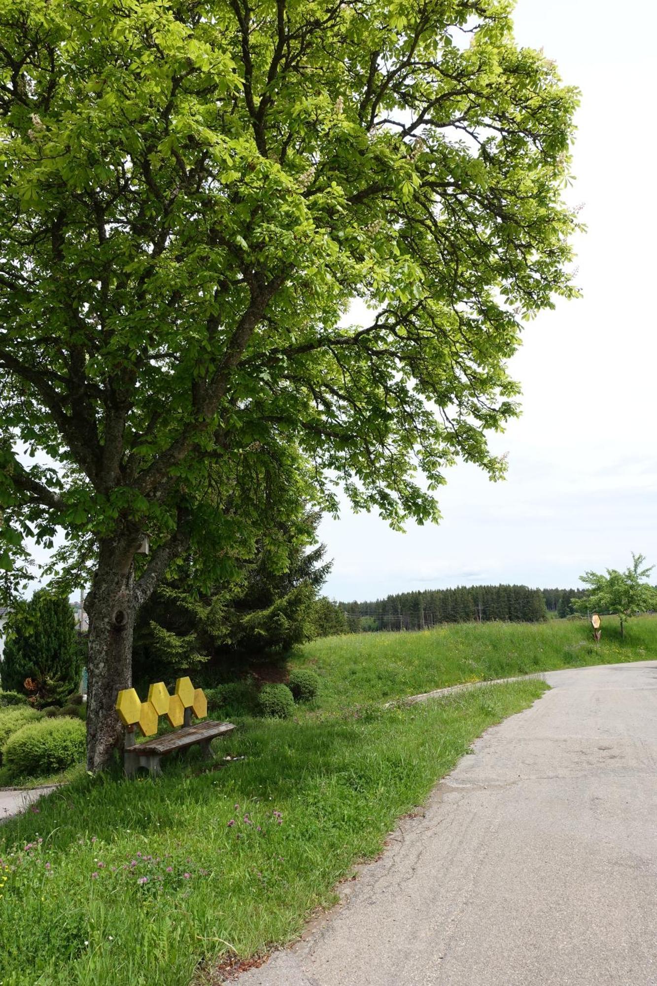 Apartment Blick In Den Garten *